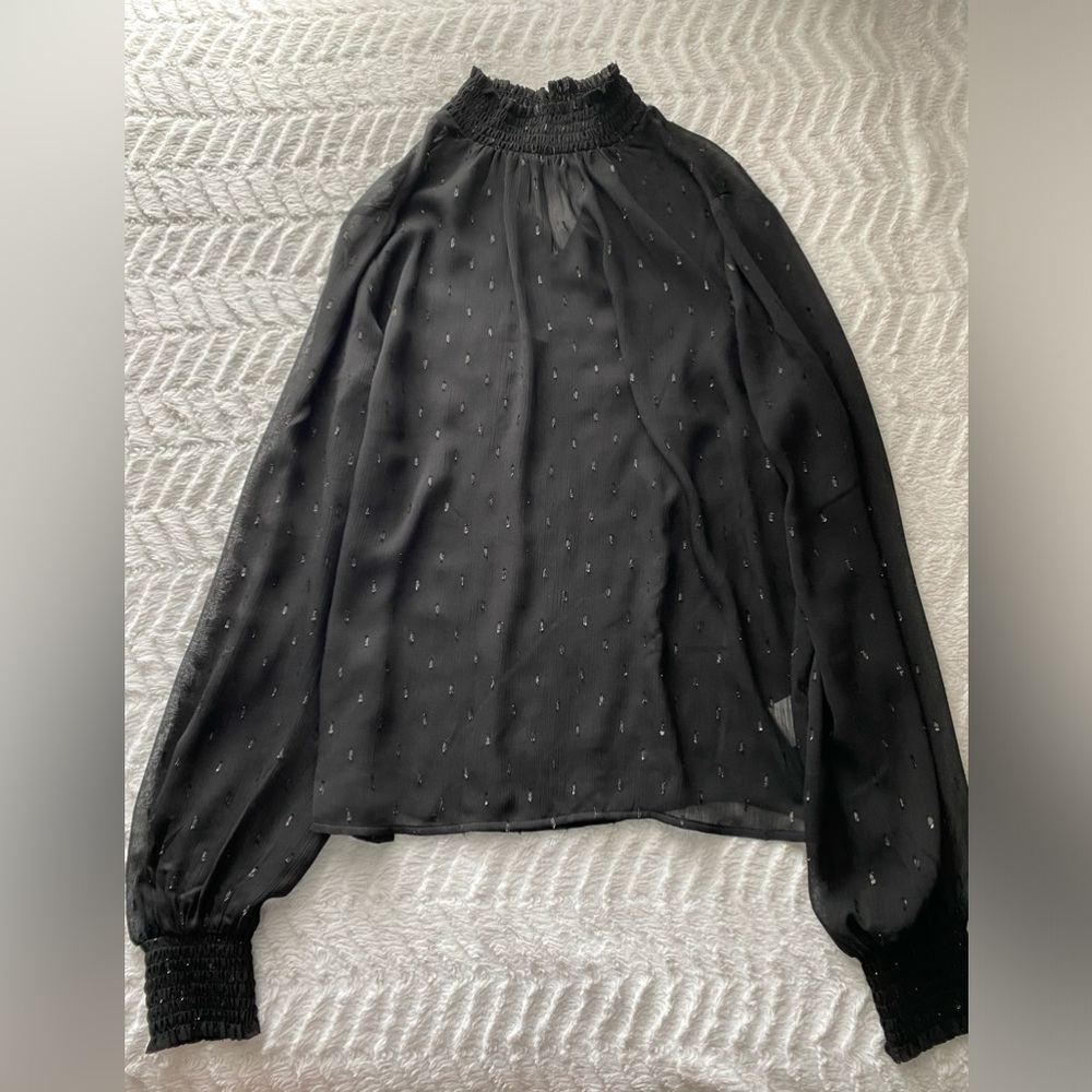 Express Sheer black blouse